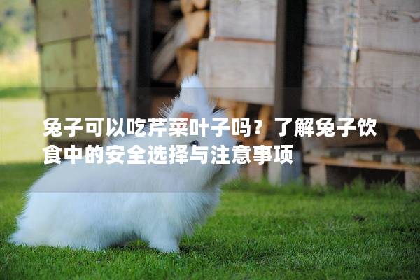 兔子可以吃芹菜叶子吗？了解兔子饮食中的安全选择与注意事项