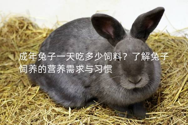 成年兔子一天吃多少饲料？了解兔子饲养的营养需求与习惯