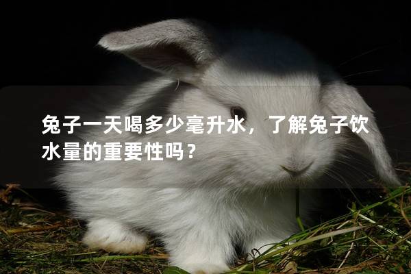 兔子一天喝多少毫升水，了解兔子饮水量的重要性吗？