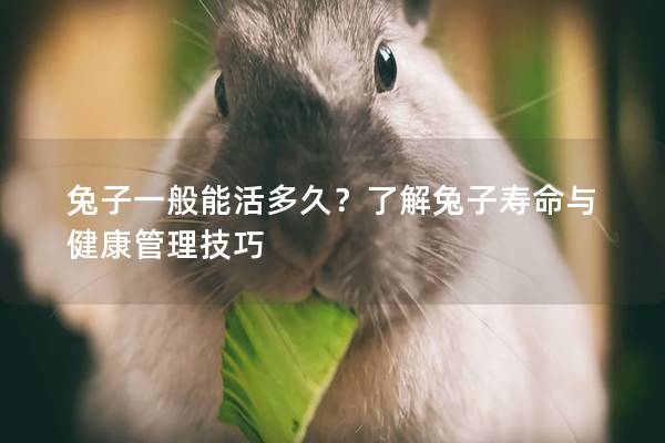 兔子一般能活多久？了解兔子寿命与健康管理技巧