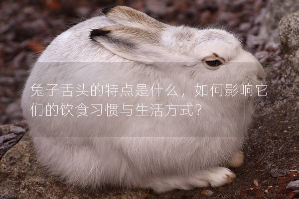 兔子舌头的特点是什么，如何影响它们的饮食习惯与生活方式？
