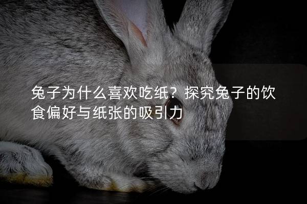 兔子为什么喜欢吃纸？探究兔子的饮食偏好与纸张的吸引力