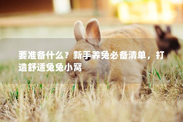 要准备什么？新手养兔必备清单，打造舒适兔兔小窝