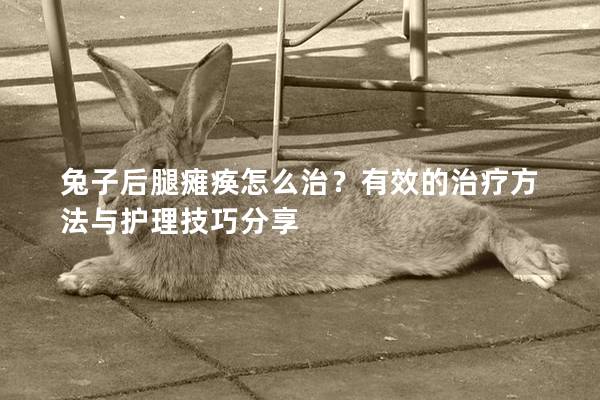 兔子后腿瘫痪怎么治？有效的治疗方法与护理技巧分享