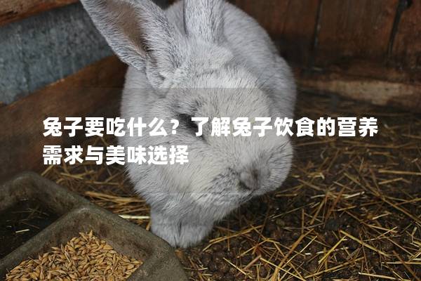 兔子要吃什么？了解兔子饮食的营养需求与美味选择