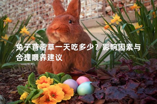 兔子苜蓿草一天吃多少？影响因素与合理喂养建议