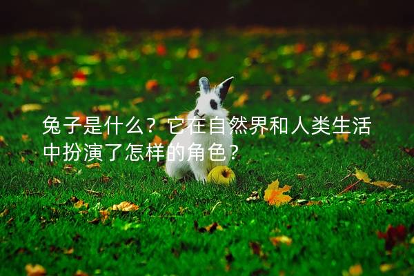 兔子是什么？它在自然界和人类生活中扮演了怎样的角色？