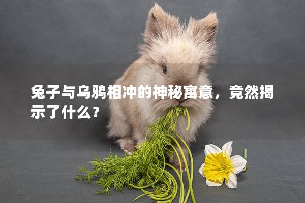 兔子与乌鸦相冲的神秘寓意，竟然揭示了什么？