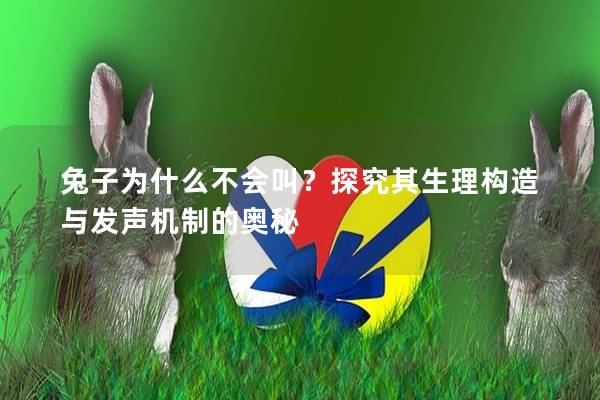 兔子为什么不会叫？探究其生理构造与发声机制的奥秘