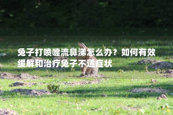 兔子打喷嚏流鼻涕怎么办？如何有效缓解和治疗兔子不适症状