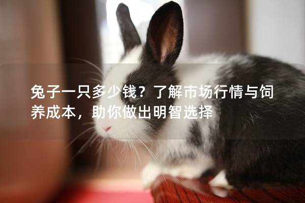 兔子一只多少钱？了解市场行情与饲养成本，助你做出明智选择