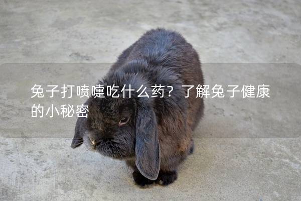 兔子打喷嚏吃什么药？了解兔子健康的小秘密