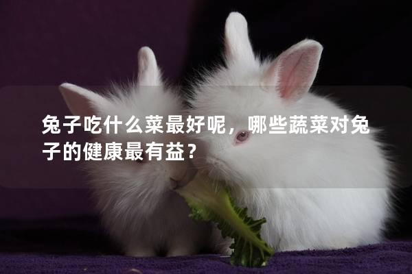 兔子吃什么菜最好呢，哪些蔬菜对兔子的健康最有益？