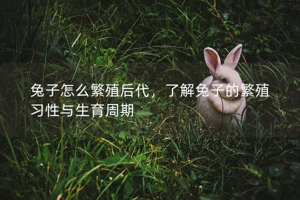兔子怎么繁殖后代，了解兔子的繁殖习性与生育周期