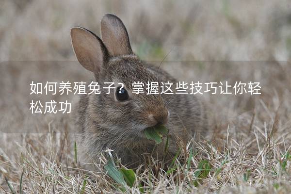 如何养殖兔子？掌握这些技巧让你轻松成功
