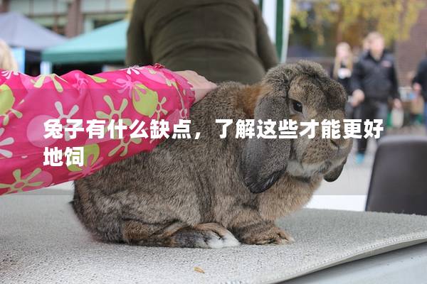 兔子有什么缺点，了解这些才能更好地饲