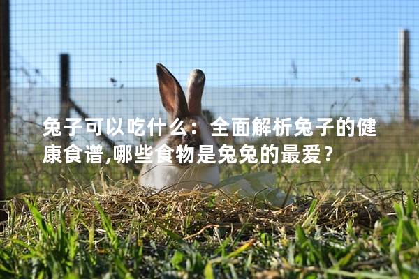 兔子可以吃什么：全面解析兔子的健康食谱,哪些食物是兔兔的最爱？