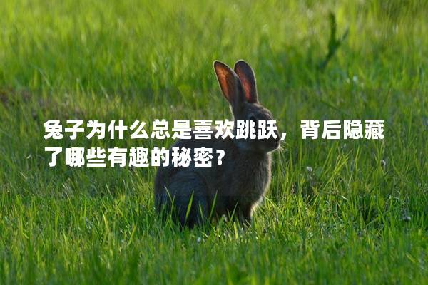 兔子为什么总是喜欢跳跃，背后隐藏了哪些有趣的秘密？