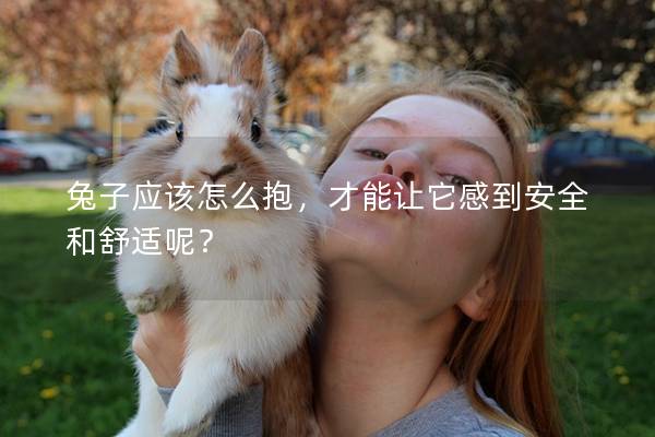 兔子应该怎么抱，才能让它感到安全和舒适呢？