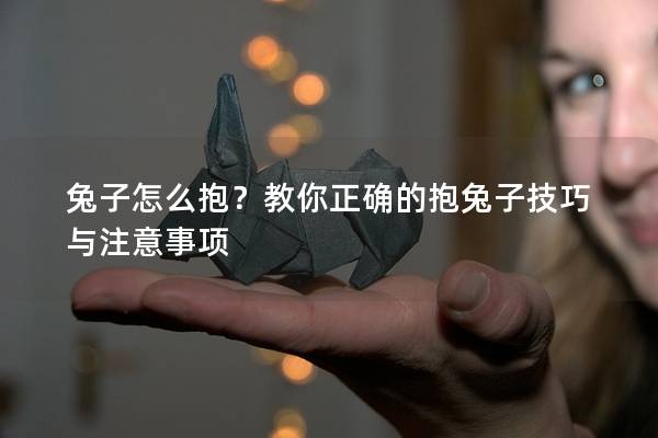 兔子怎么抱？教你正确的抱兔子技巧与注意事项