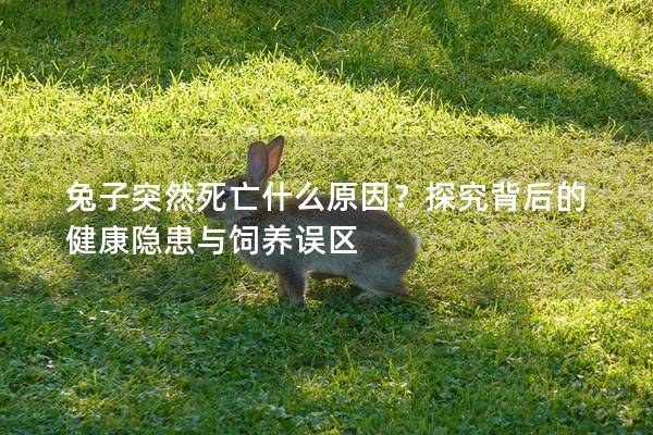 兔子突然死亡什么原因？探究背后的健康隐患与饲养误区