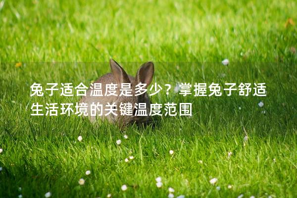 兔子适合温度是多少？掌握兔子舒适生活环境的关键温度范围