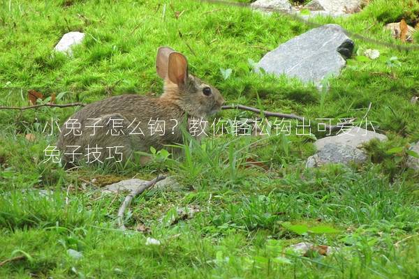 小兔子怎么钩？教你轻松钩出可爱小兔子技巧
