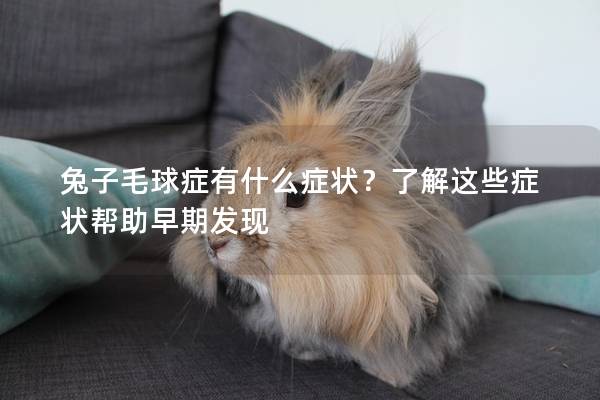 兔子毛球症有什么症状？了解这些症状帮助早期发现