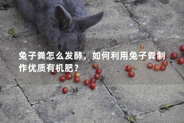 兔子粪怎么发酵，如何利用兔子粪制作优质有机肥？