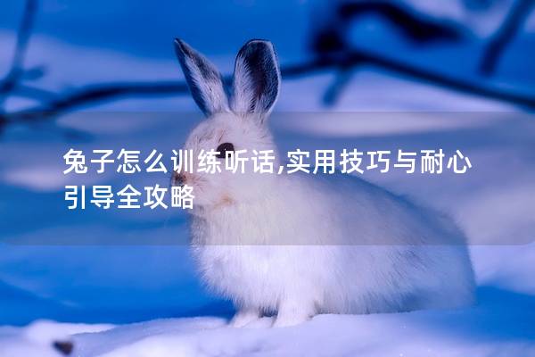 兔子怎么训练听话,实用技巧与耐心引导全攻略