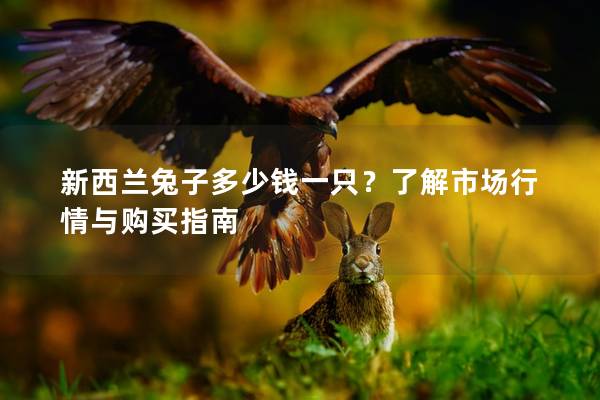 新西兰兔子多少钱一只？了解市场行情与购买指南