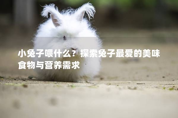 小兔子喂什么？探索兔子最爱的美味食物与营养需求