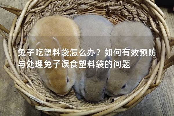 兔子吃塑料袋怎么办？如何有效预防与处理兔子误食塑料袋的问题