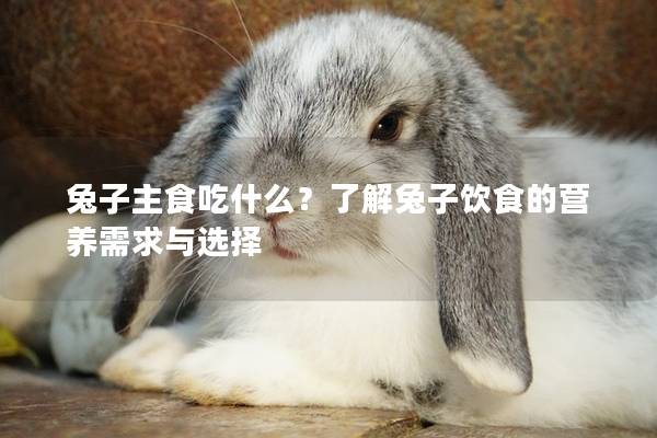 兔子主食吃什么？了解兔子饮食的营养需求与选择