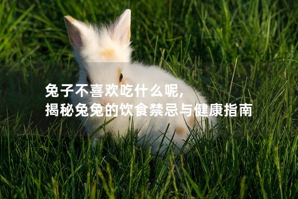 兔子不喜欢吃什么呢, 揭秘兔兔的饮食禁忌与健康指南