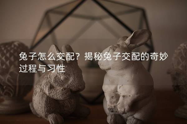 兔子怎么交配？揭秘兔子交配的奇妙过程与习性