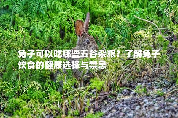 兔子可以吃哪些五谷杂粮？了解兔子饮食的健康选择与禁忌