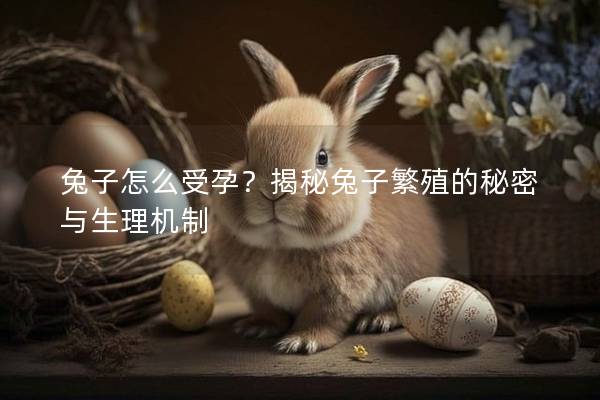 兔子怎么受孕？揭秘兔子繁殖的秘密与生理机制