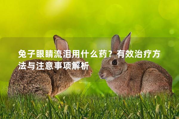 兔子眼睛流泪用什么药？有效治疗方法与注意事项解析