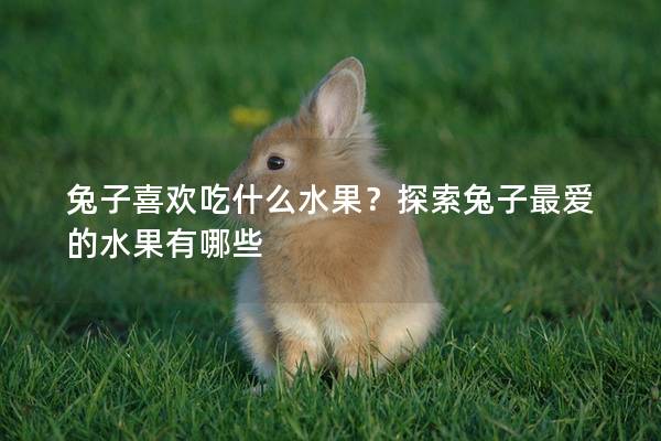 兔子喜欢吃什么水果？探索兔子最爱的水果有哪些