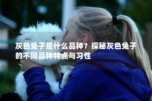 灰色兔子是什么品种？探秘灰色兔子的不同品种特点与习性