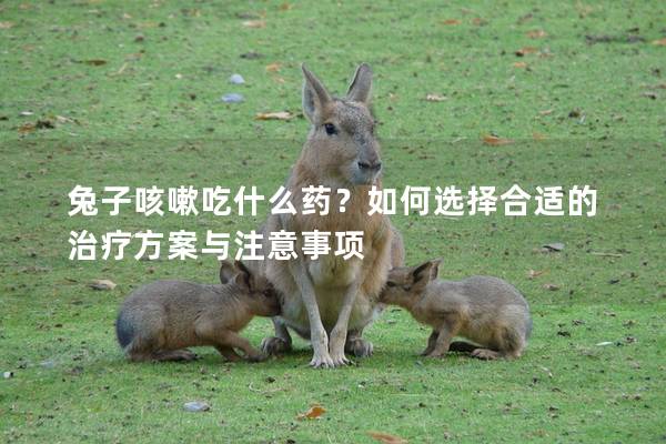 兔子咳嗽吃什么药？如何选择合适的治疗方案与注意事项
