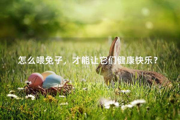 怎么喂兔子，才能让它们健康快乐？