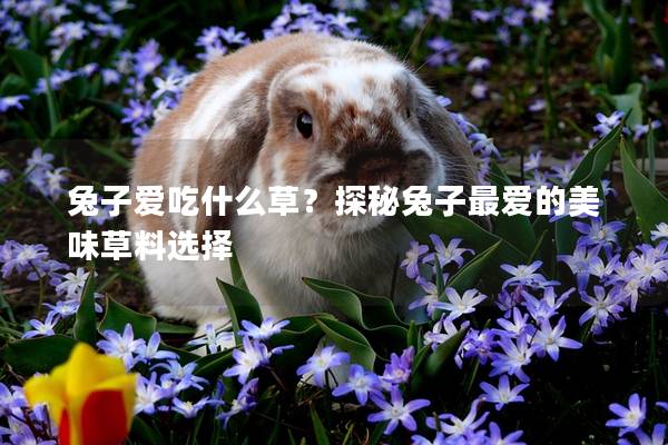 兔子爱吃什么草？探秘兔子最爱的美味草料选择
