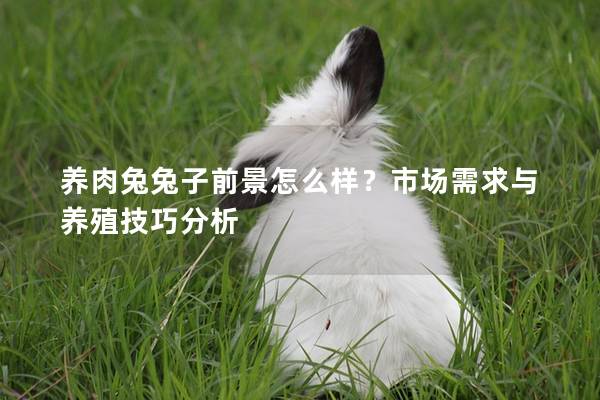 养肉兔兔子前景怎么样？市场需求与养殖技巧分析