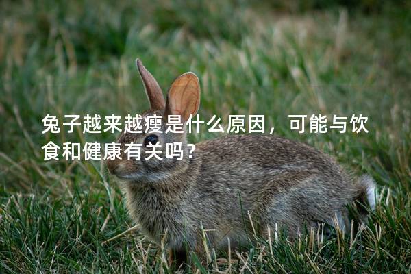 兔子越来越瘦是什么原因，可能与饮食和健康有关吗？