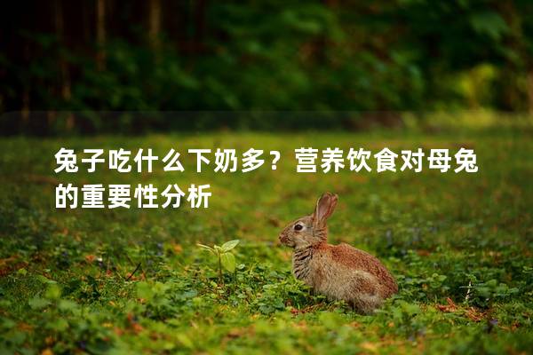 兔子吃什么下奶多？营养饮食对母兔的重要性分析