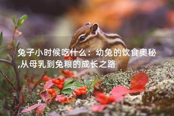 兔子小时候吃什么：幼兔的饮食奥秘,从母乳到兔粮的成长之路