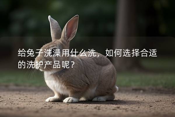给兔子洗澡用什么洗，如何选择合适的洗护产品呢？