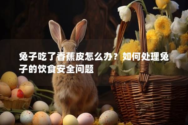 兔子吃了香蕉皮怎么办？如何处理兔子的饮食安全问题